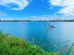 -露天矿生态公园