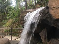 -广州市流溪河国家森林公园