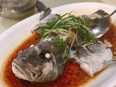 -八景休閒山莊  廣東十大名山莊