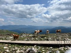 -灵山