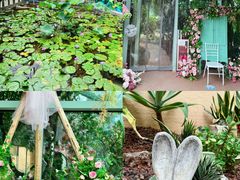 -正佳雨林生态植物园