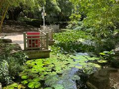 -晓港公园