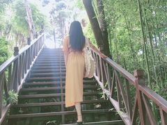 -南诏风情岛