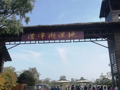 -泗洪洪泽湖湿地景区