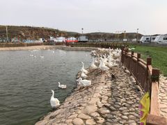 -红石沟生态休闲农场