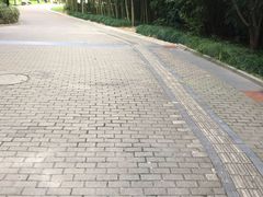 -苏州河梦清园环保主题公园