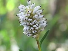 -山西乌金山旅游区