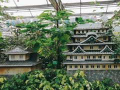 -南宫五洲植物乐园