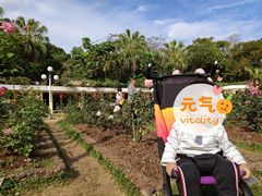 -人民公园(罗湖区)