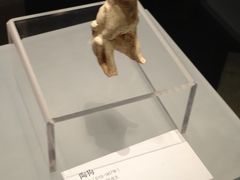 -隋唐大运河文化博物馆