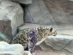 -青藏高原野生动物园