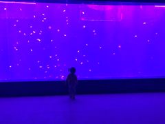 -南京金牛湖风景区