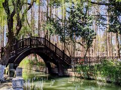 -乌镇东栅景区