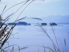 -全乐鱼馆·淳牌有机鱼直营店