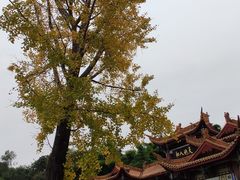 -富乐山