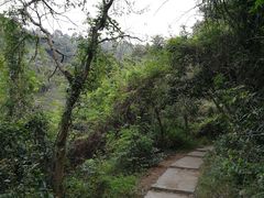 -火炉山森林公园
