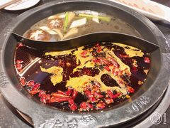 -井格重庆火锅(新世纪店)