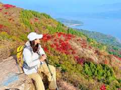-大岭沟猕猴桃谷风景区