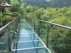 -陶祖圣境风景区