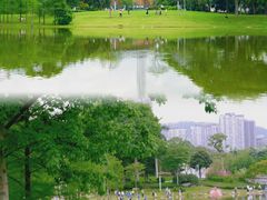 -香蜜公园