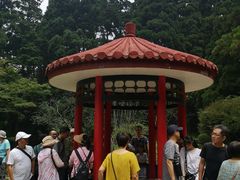 -庐山风景区花径公园