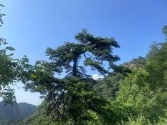 -秦岭终南山世界地质公园翠华山景区