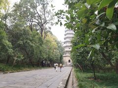 -灵谷景区