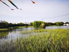 -贡湖湾湿地公园