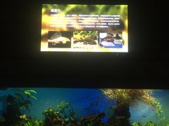 -太平洋海底世界