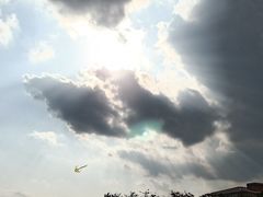 -羚羊峡古栈道森林公园