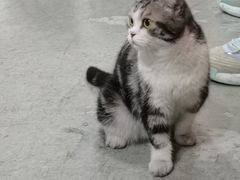 -一品格美术·中考高中成人美术培训