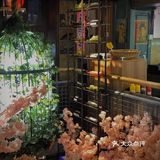 吉林探店｜人均100➕的和牛自助吃到爽