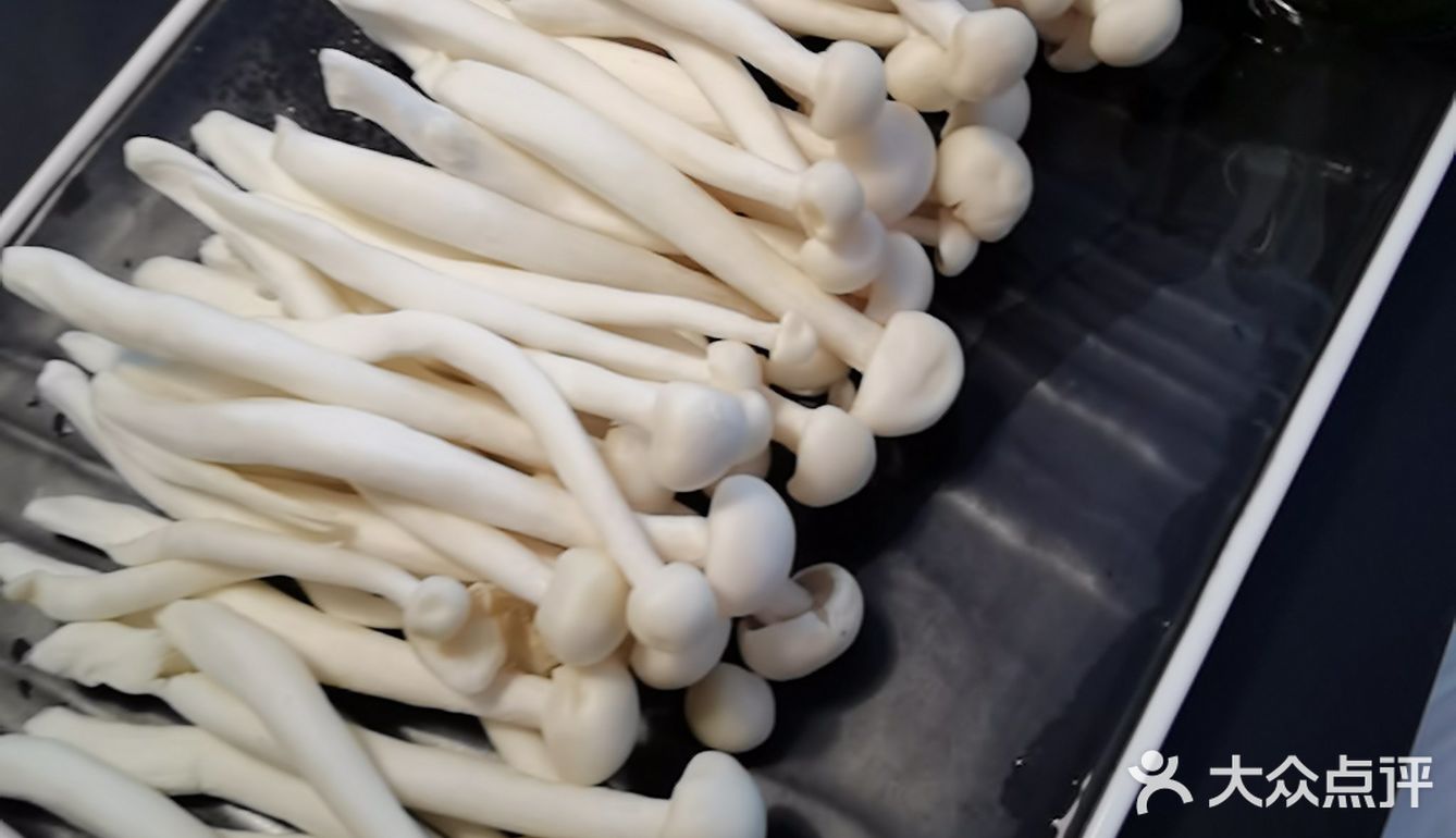 来到协信星光里的小公牛牛肉火锅店,首先被盆栽多肉而吸