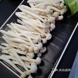 来到协信星光里的小公牛牛肉火锅店,首先被盆栽多肉而吸