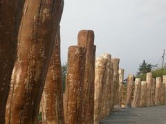 -紫鹊界梯田景区