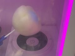 -广州长隆飞鸟乐园