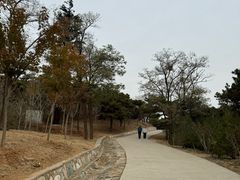 -北京西山国家森林公园