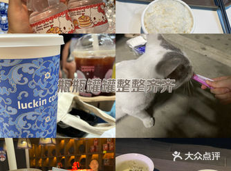 #0元玩转这座城#爱生活爱喝茶 #茶馆 #品茶静心