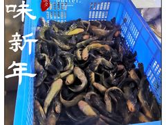 -石锅苗苗鱼(武汉首店)