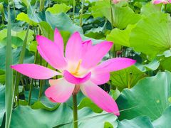 -云居湖