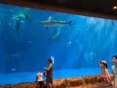 -华夏文旅海洋公园