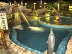 -汤山温泉房车营地 茶温泉