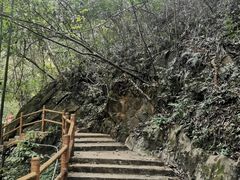 -江西阳明山国家森林公园