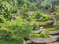 -南宁荔园维景国际酒店·荔园中餐厅