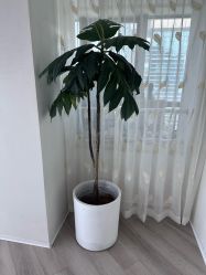 -HEYAN荷妍专业脱毛连锁机构