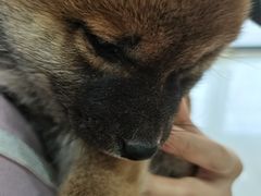 -惠康宠物医院(华能路店)