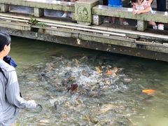 -惠州西湖丰渚园