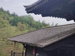 -大唐贡茶院