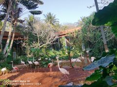 -海南热带野生动植物园