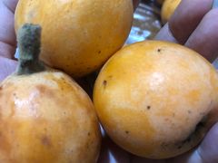 -枇杷沟农家乐·柴火鸡